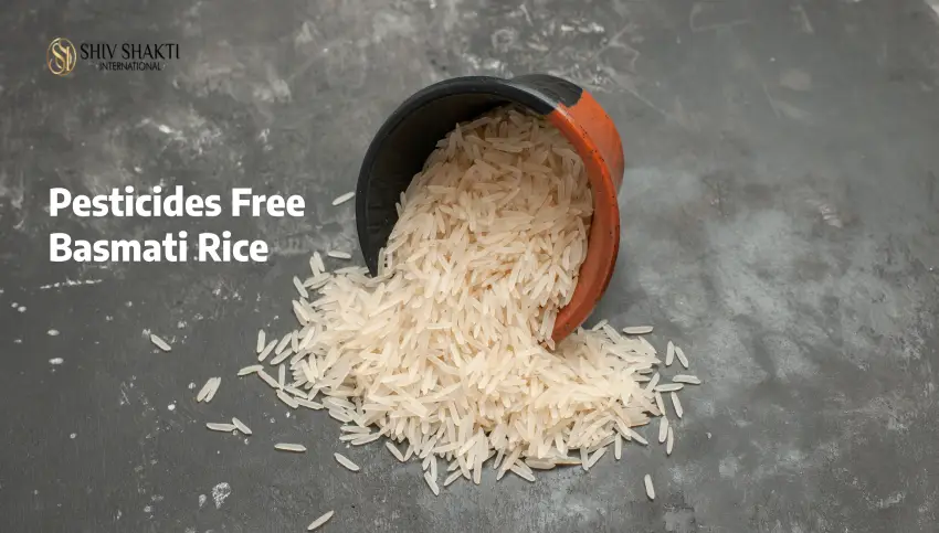 Pesticides Free Basmati Rice Manufacturer and Supplier In India